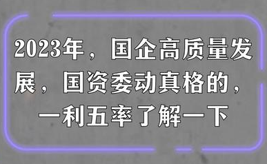 國務(wù)院國資委權(quán)威解讀中央企業(yè)“一利五率”經(jīng)營指標(biāo)體系